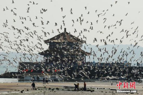  中国宜居城市报告 发布:青岛居首 北京垫底-宜居