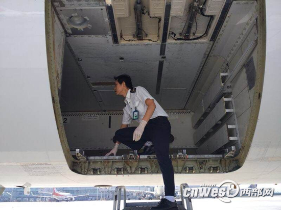 咸阳机场现活体蛇 航班上为何会现活体蛇(图)-