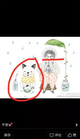 王宝强老婆马蓉微博中被遗漏的大秘密 细思极恐