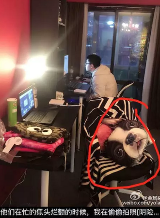 王宝强老婆马蓉微博中被遗漏的大秘密 细思极恐