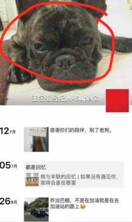 王宝强老婆马蓉微博中被遗漏的大秘密 细思极恐