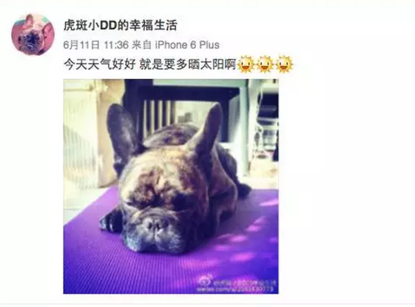 王宝强老婆马蓉微博中被遗漏的大秘密 细思极恐