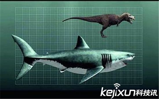 远古生物剑齿虎大战巨齿鲨 震惊世界-剑齿虎|古生物|生物|远古|动物|巨齿鲨|奇闻异事-东北网社会