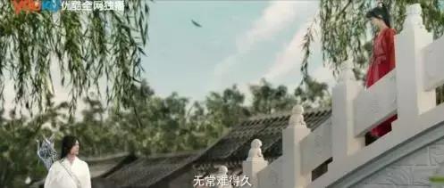 杨洋郑爽《微微一笑很倾城》第一集就结婚 这剧情是坐上了火箭？