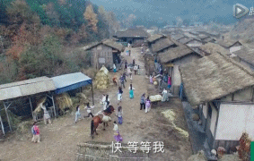要是“奥运天团”来演偶像剧，多狗血我都愿意看
