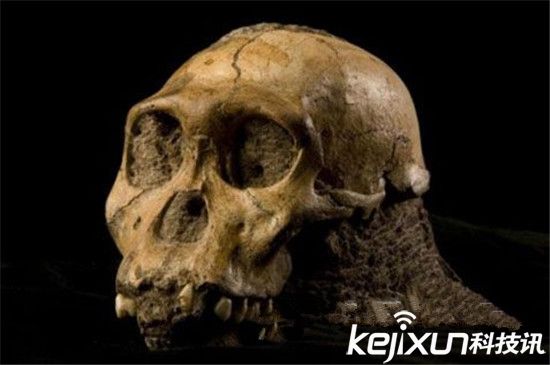 人类历史上发现的六大最奇特化石 史前巨蟒生吞恐龙