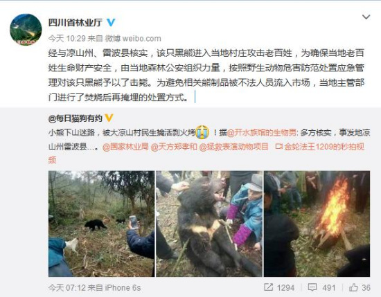 Sichuan bears were alive fire? Official: attack people Killed after burning