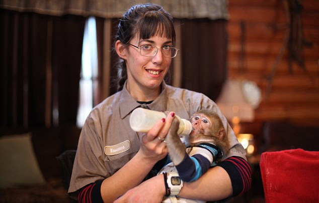 美女子给6只小猴当妈 喂奶换尿布教手语