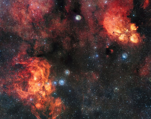 太空中的“猫咪斗龙虾”：红色星云相映成趣(图)