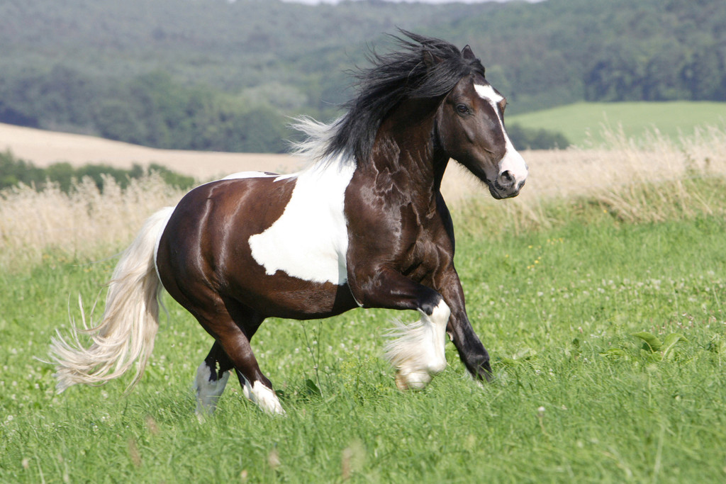 高校开小龙虾专业 盘点国内外十五大奇葩专业