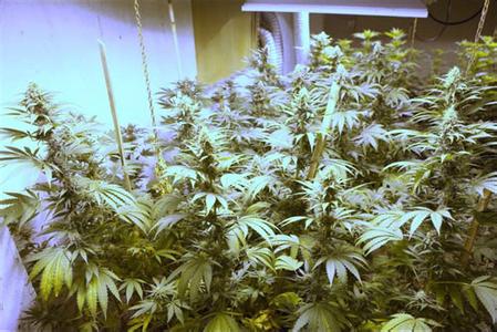 高校开小龙虾专业 盘点国内外十五大奇葩专业