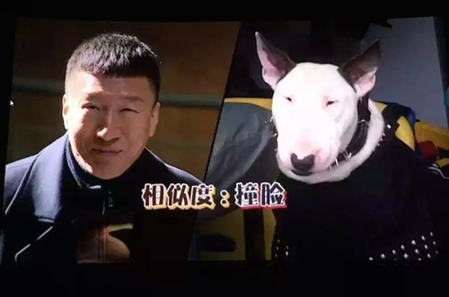 脸盲症犯了？盘点娱乐圈那些长得像的明星