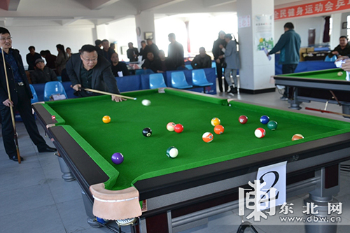 依安县举办首届农民台球比赛-东北网黑龙江(东