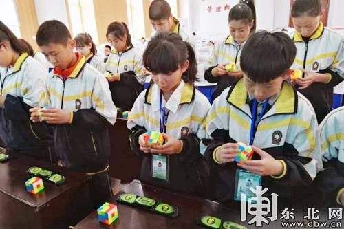 哈市南岗区举行中小学生智力运动会