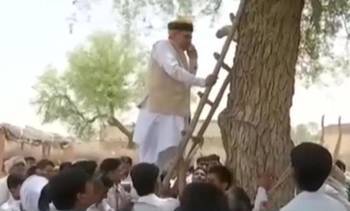 印度财政部长爬上树找信号 手机信号差应该怎