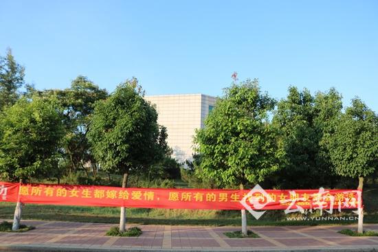 以后没课可逃了 一高校毕业季横幅戳泪点-东北