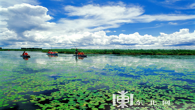 七星河湿地.