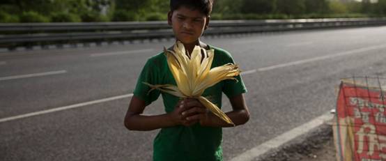 印度童工酷暑卖玉米求生 月收入仅80美元