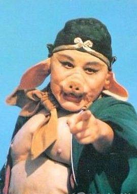 刘诗诗成《花千骨2》女主 盘点换主角续集就杯具的电视剧