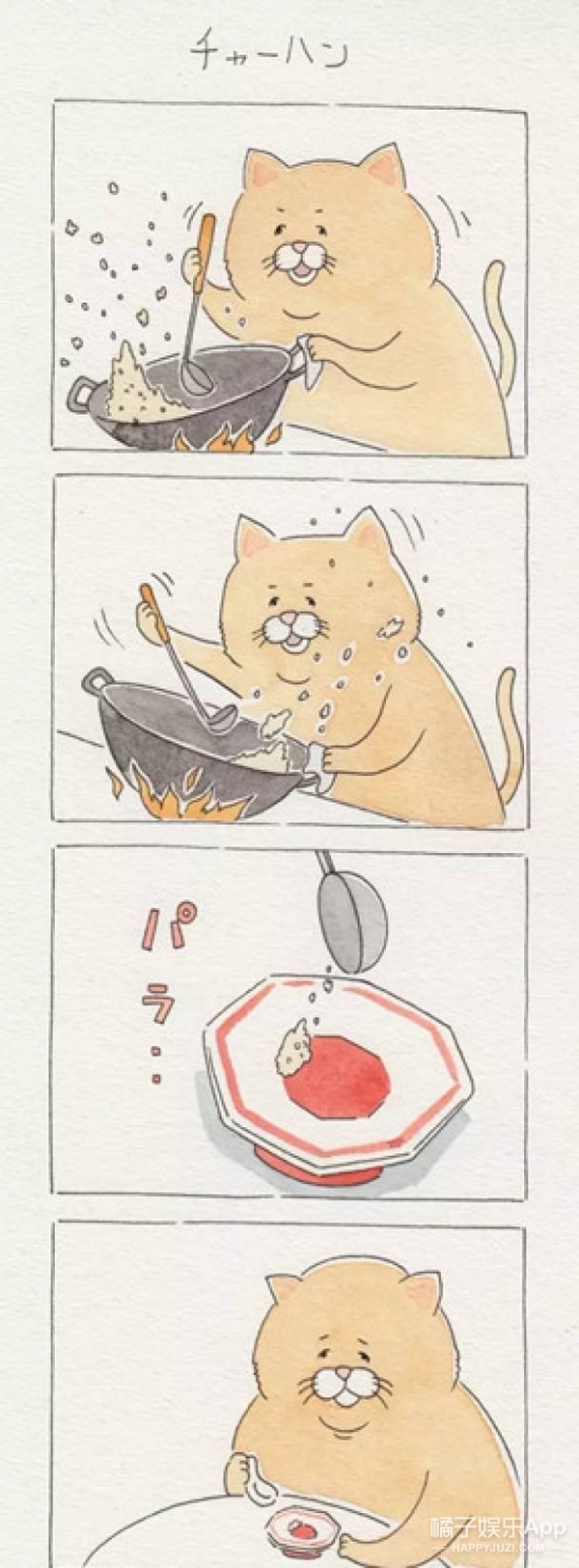 走红日本的残念猫 干什么都有穿透屏幕的