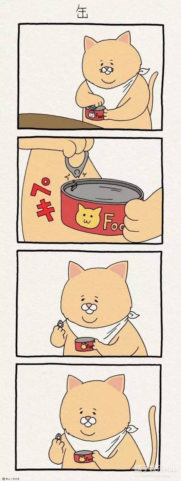 走红日本的残念猫 干什么都有穿透屏幕的