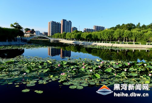 【砥砺奋进的5年】迎接十九大特别报道·北安篇