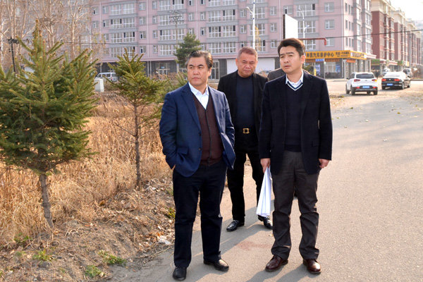 王兆成深入哈达镇就农业农村工作和扶贫工作进行调研