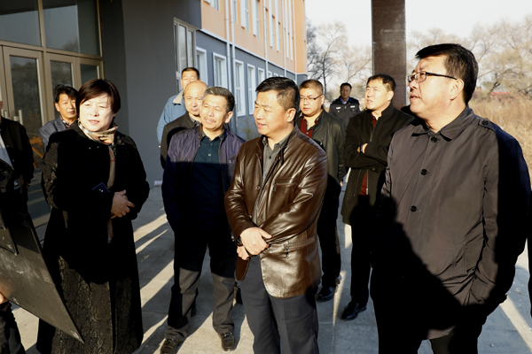 县长王景章到鸡东镇视察城市建设工作