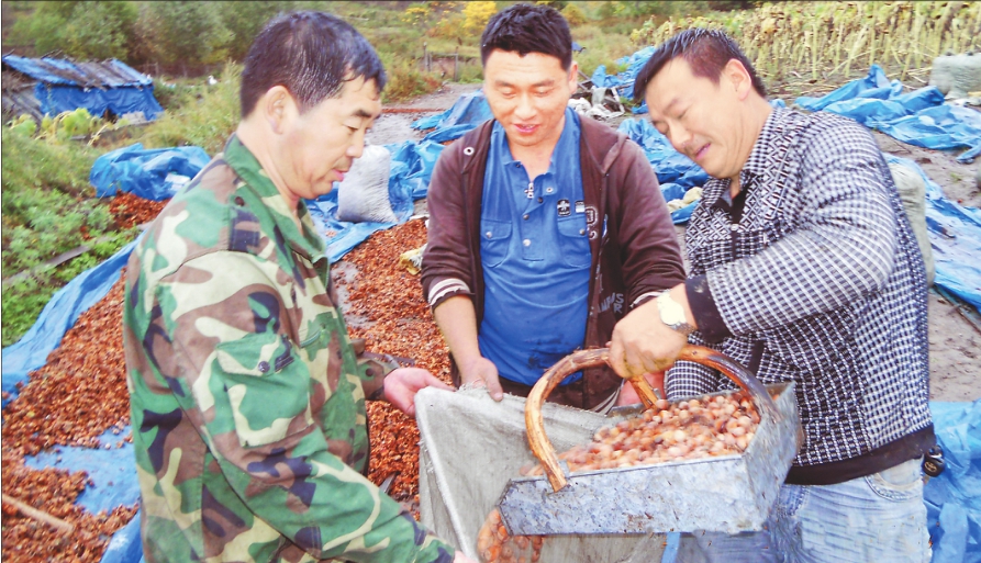 桦南:厚植资源优势 培育农业发展新动能