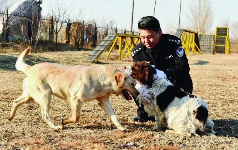 训犬员王忠海和他的"亲密战友"