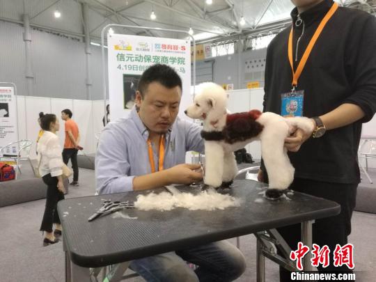 2018第七届成都国际宠物博览会启幕 各类异宠
