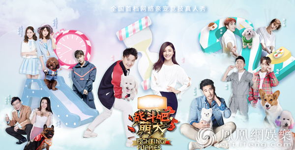 你值得Pick!《战斗吧萌犬》玩出场景营销C位实力