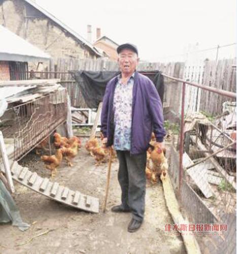 富锦市有多少人口_佳木斯富锦市图片(3)