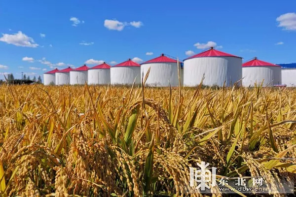中华大粮仓.陈宝林摄