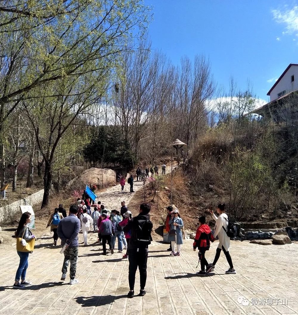 碾子山旅游区"五一"模式 游客不断增多 景区秩序井然