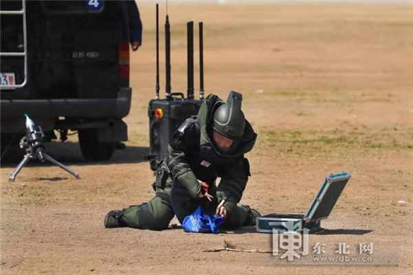 大机关大警种 00301233446_cf50b0c5.jpg