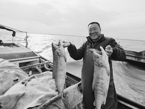 远县和同江市渔民九月撒网捕鱼黄金月 捕到大