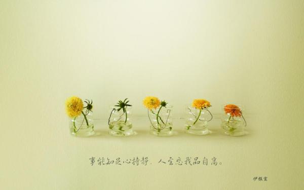 廉政文化桌面壁纸_廉政桌面壁纸二伊春新闻网