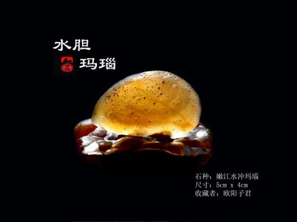 编号71晒石名称水胆玛瑙