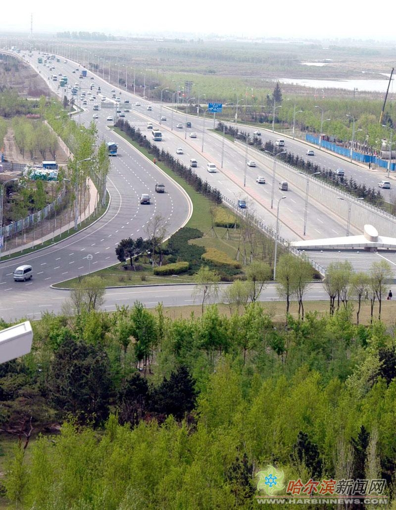 松北大道泄洪区段绿化工程告捷