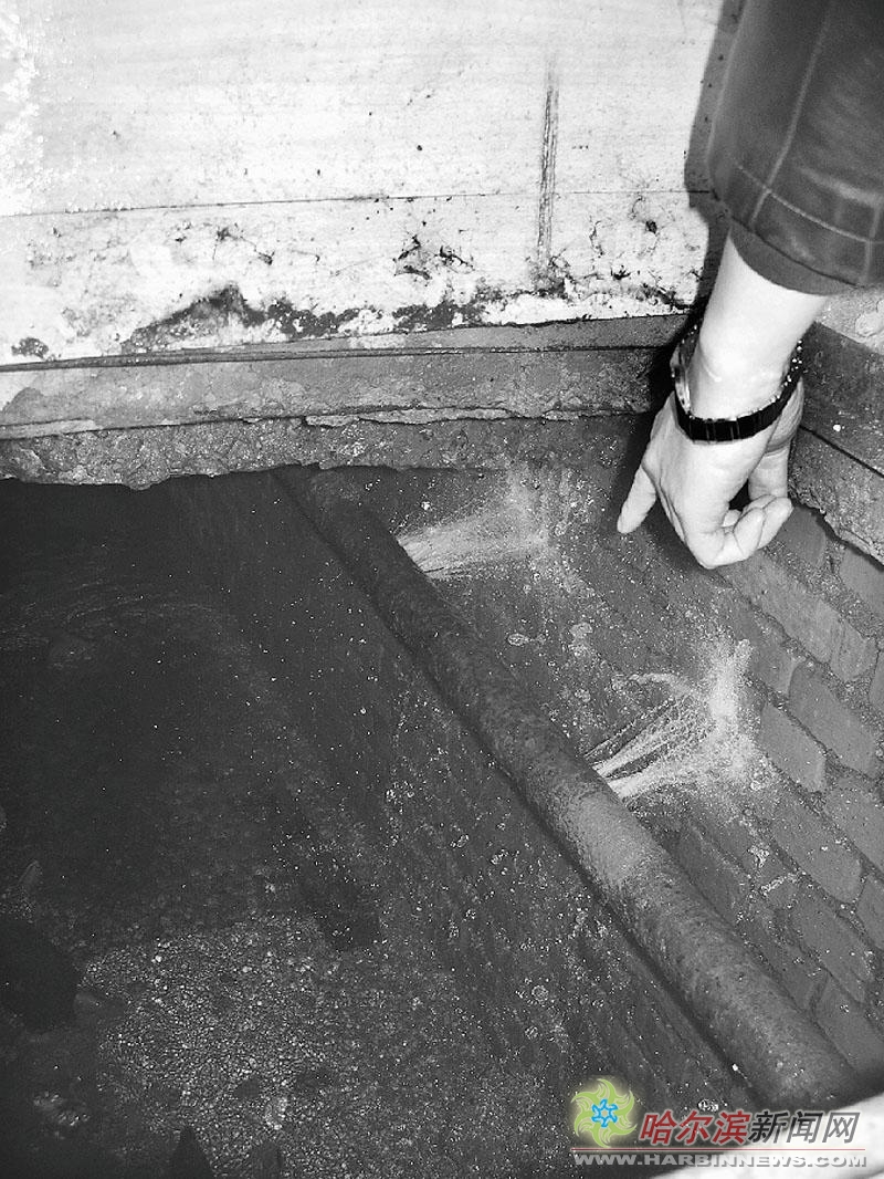 哈市共乐小区管线破裂两个月地沟渗水百余吨