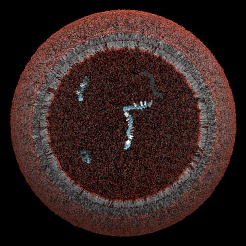 在实验室人工构造的单细胞模型