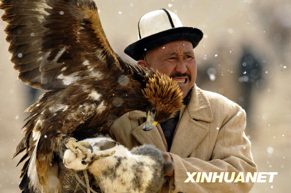 驯鹰传人"猎鹰节"上展身手