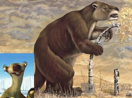 教育频道 校园 搜捕新发现 正文地獭 sloth 《冰河世纪》中的席德是