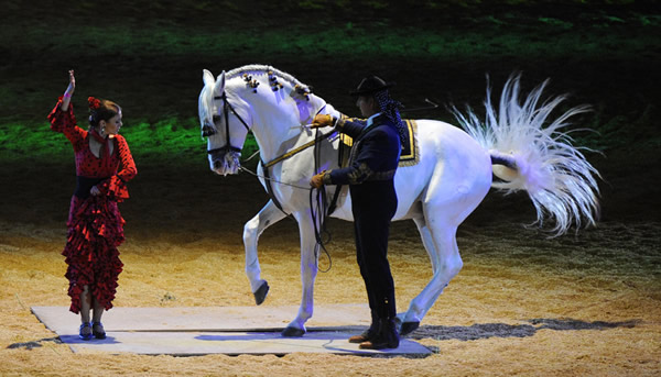 美女与骏马"同跳"拉丁舞