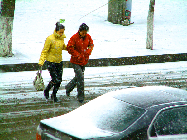雪天出行 为您支招