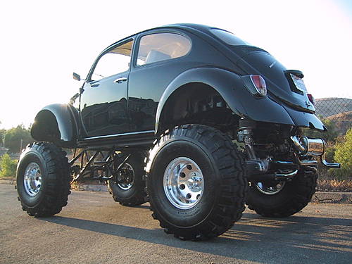 可爱也能变凶悍 甲壳虫超震撼改装(组图)