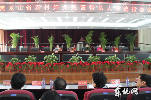 黑龙江省农村妇女致富带头人事迹报告会举行首