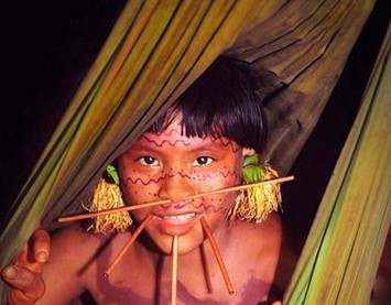 亚马逊雨林的原始人图片