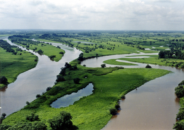 虎林旅游景区景点之珍宝岛湿地保护区